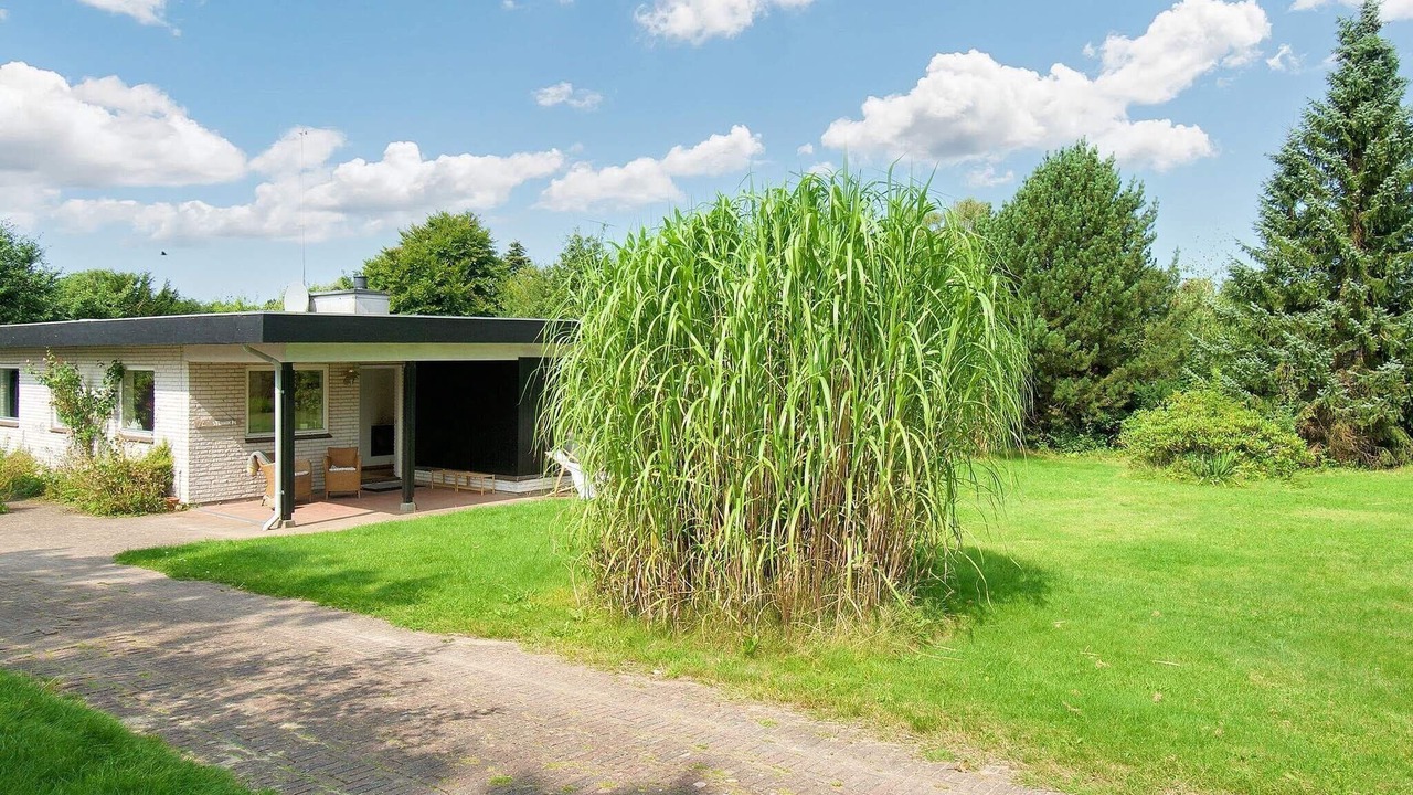 Photo of Outdoor in Hoeve Strand