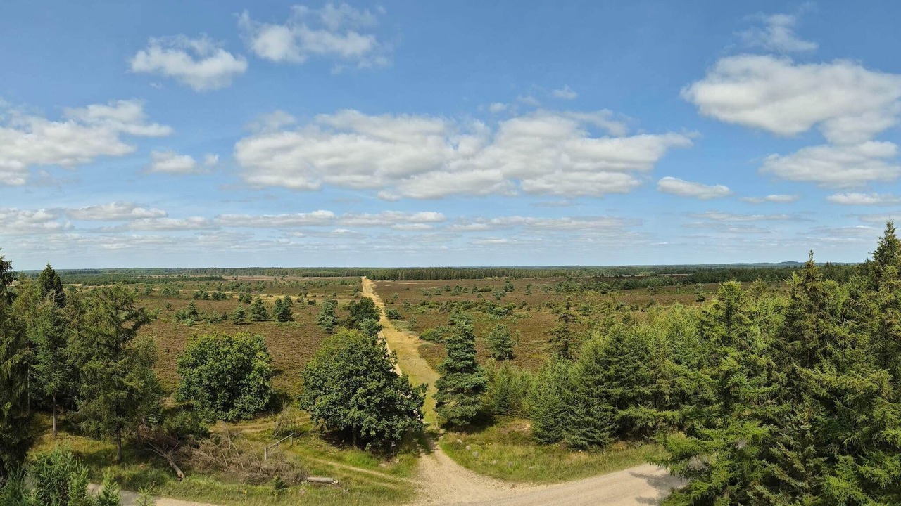 Photo of Others in Hovborg