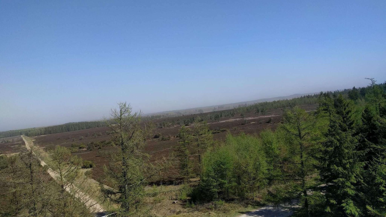 Photo of Others in Hovborg