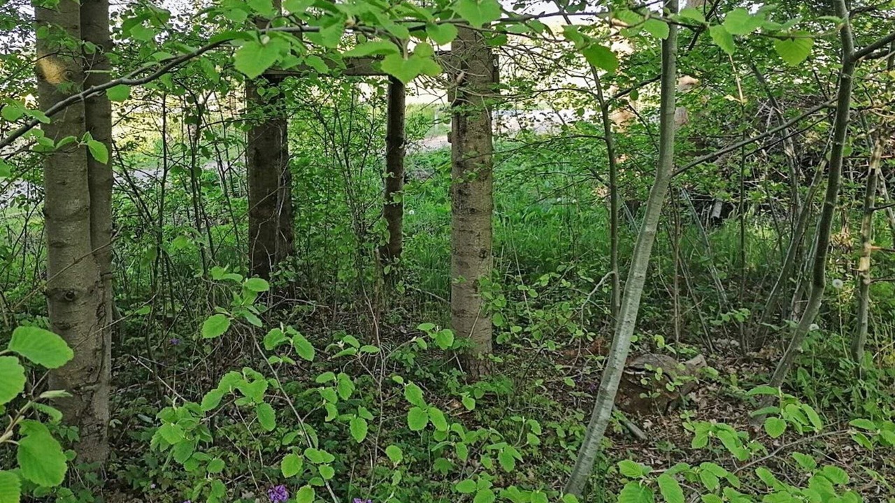 Photo of Outdoor in Skaverup