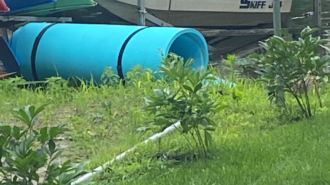 Photo of Outdoor in Fremont