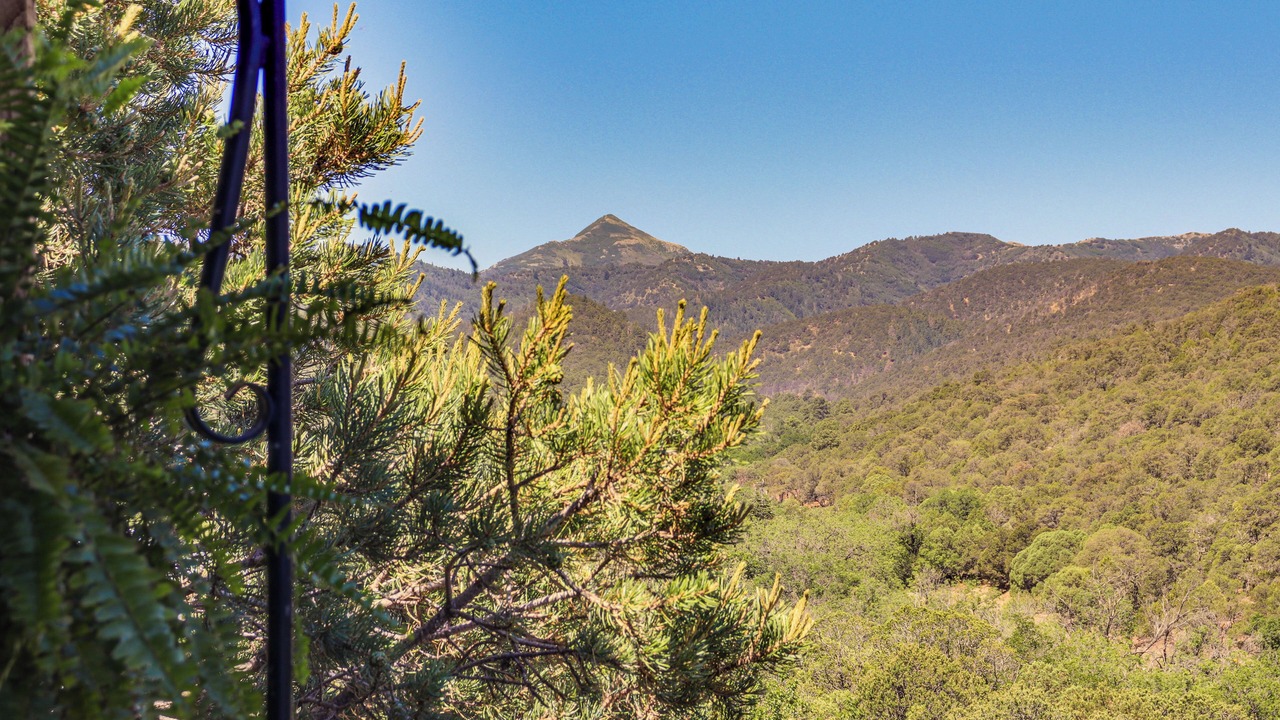 Photo of Outdoor in Nogal