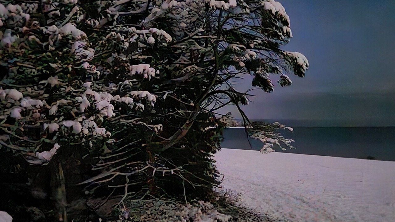 Photo of Others in Alpena