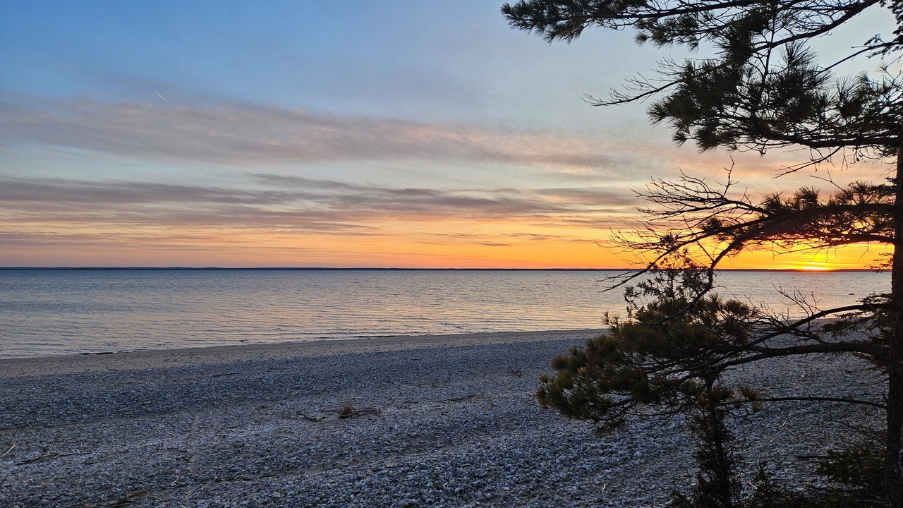 Photo of Others in Alpena