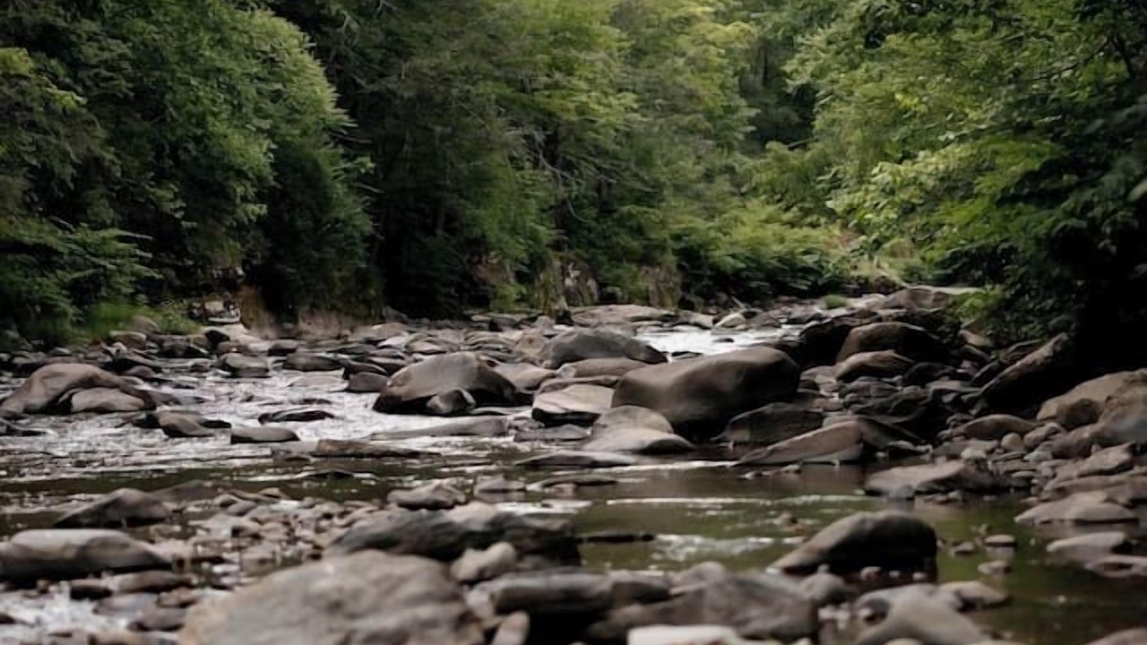 Photo of Others in Phoenicia