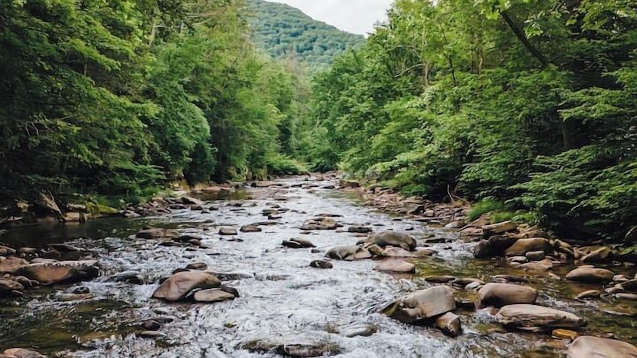 Photo of Others in Phoenicia