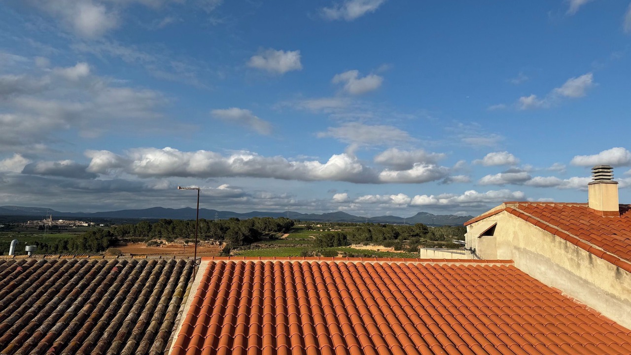 Photo of Others in Puigpelat