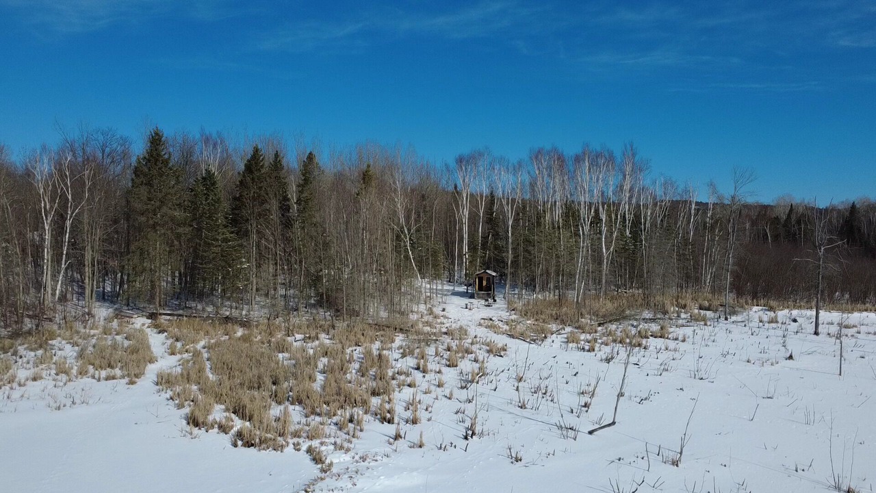 Photo of Others in Golden Lake