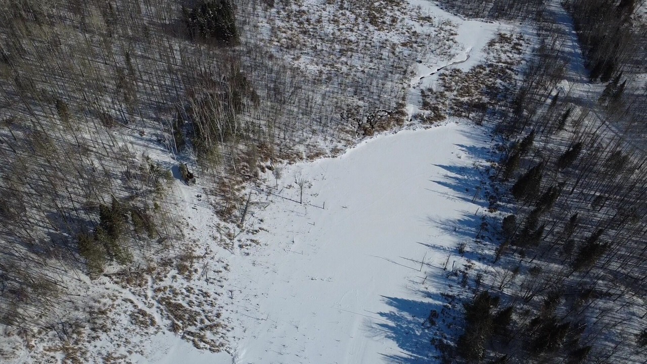 Photo of Others in Golden Lake