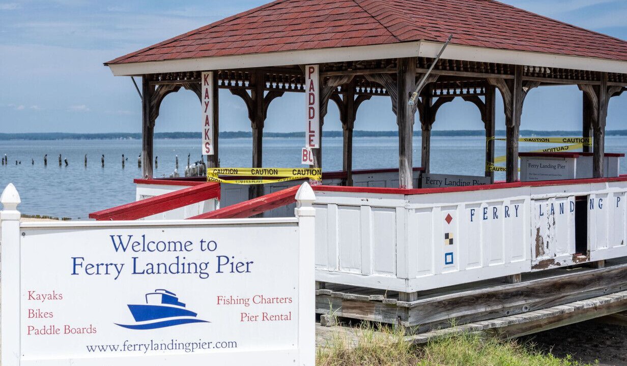 Photo of Others in Issue