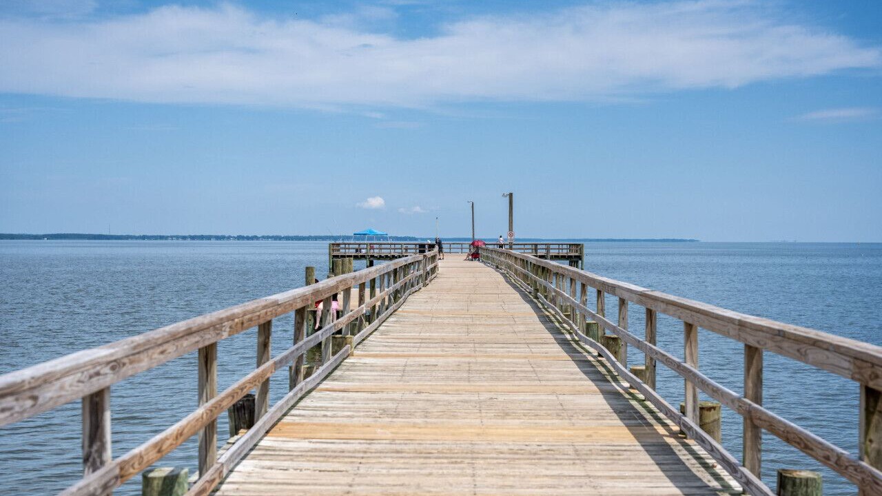 Photo of Others in Issue