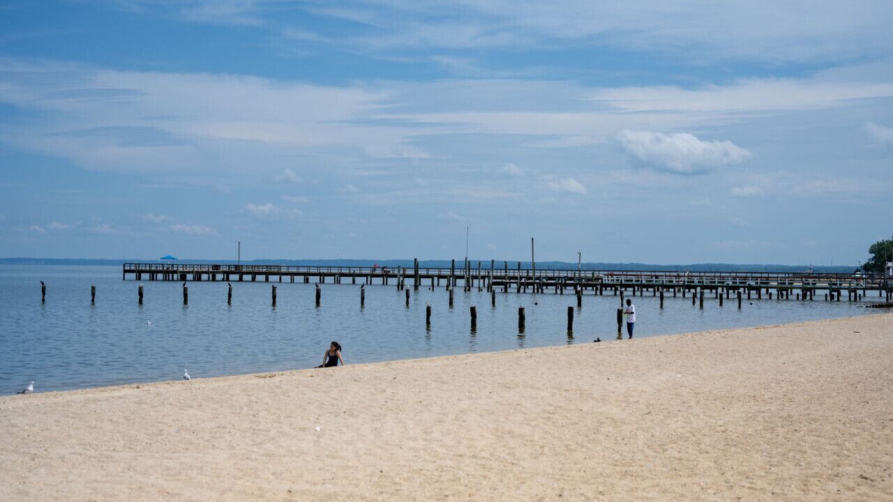 Photo of Others in Issue