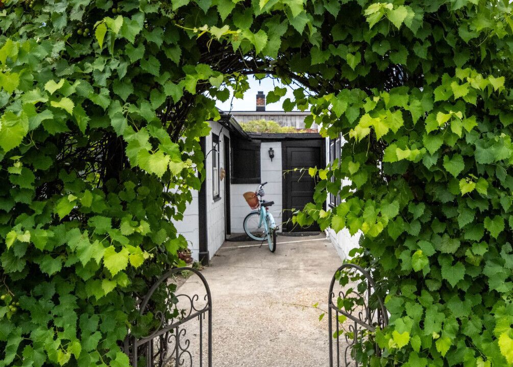 Photo of Outdoor in Issue