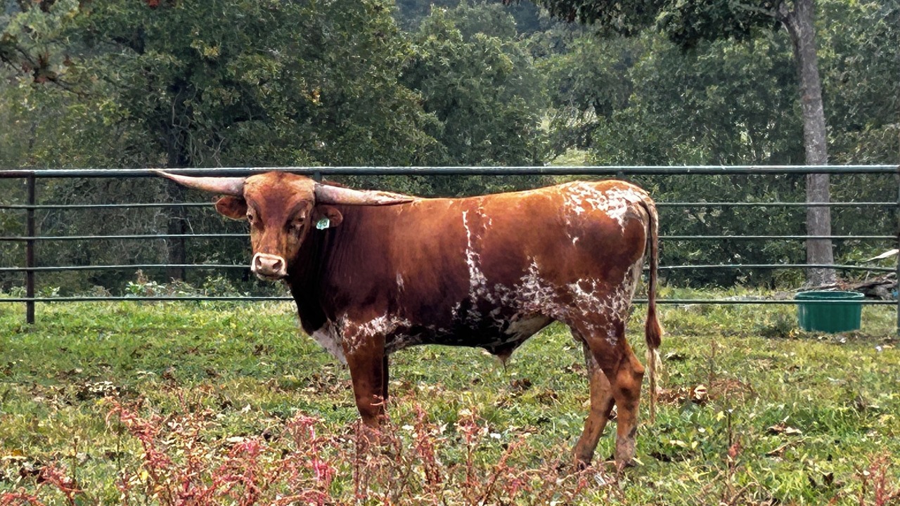 Photo of Others in Licking