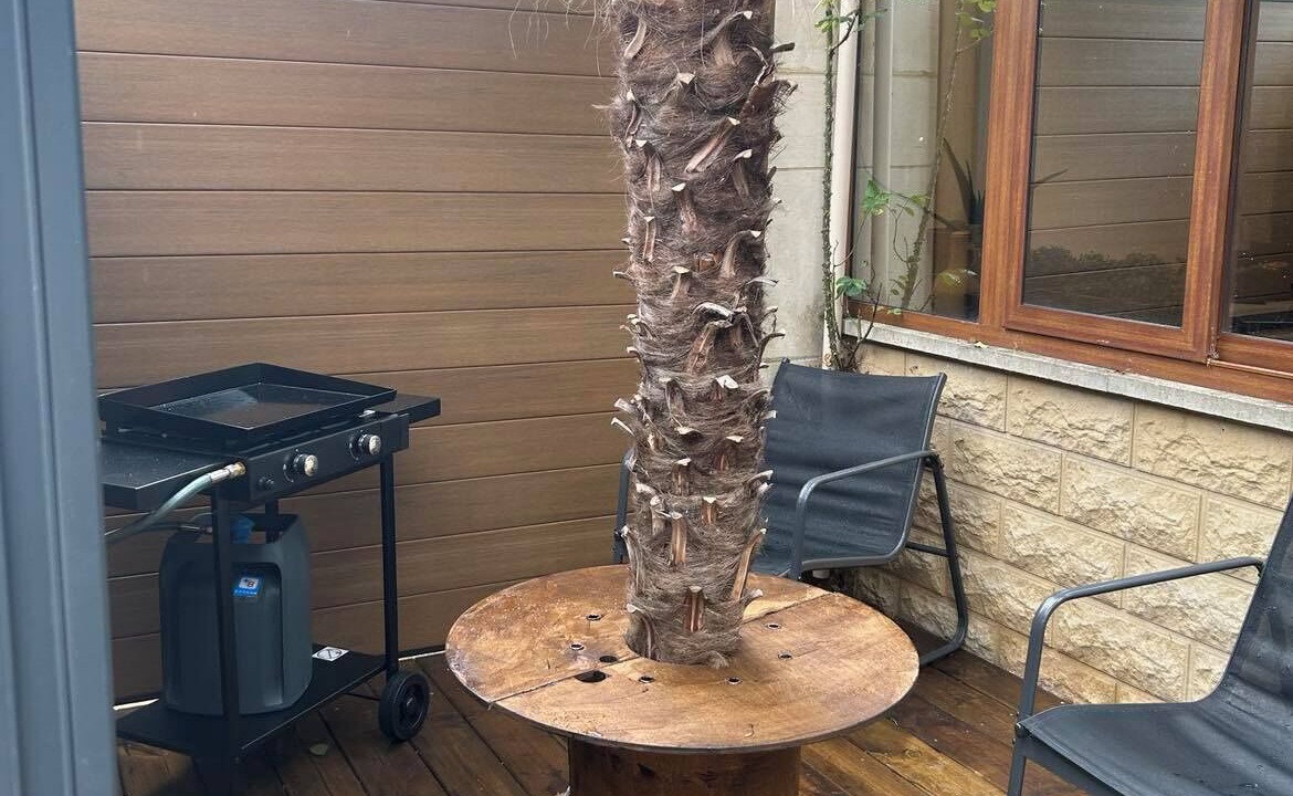 Photo of Patio Balcony in Ris Orangis
