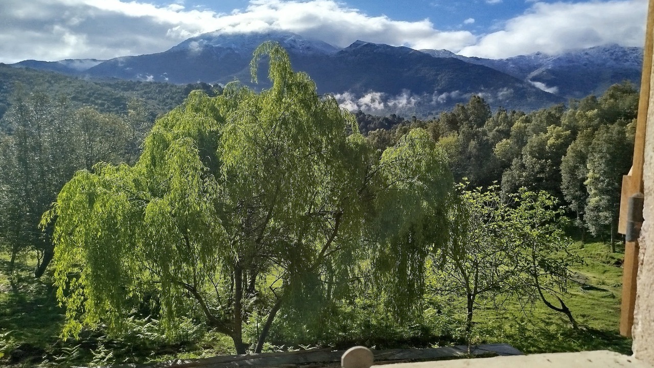 Photo of Others in Ucciani