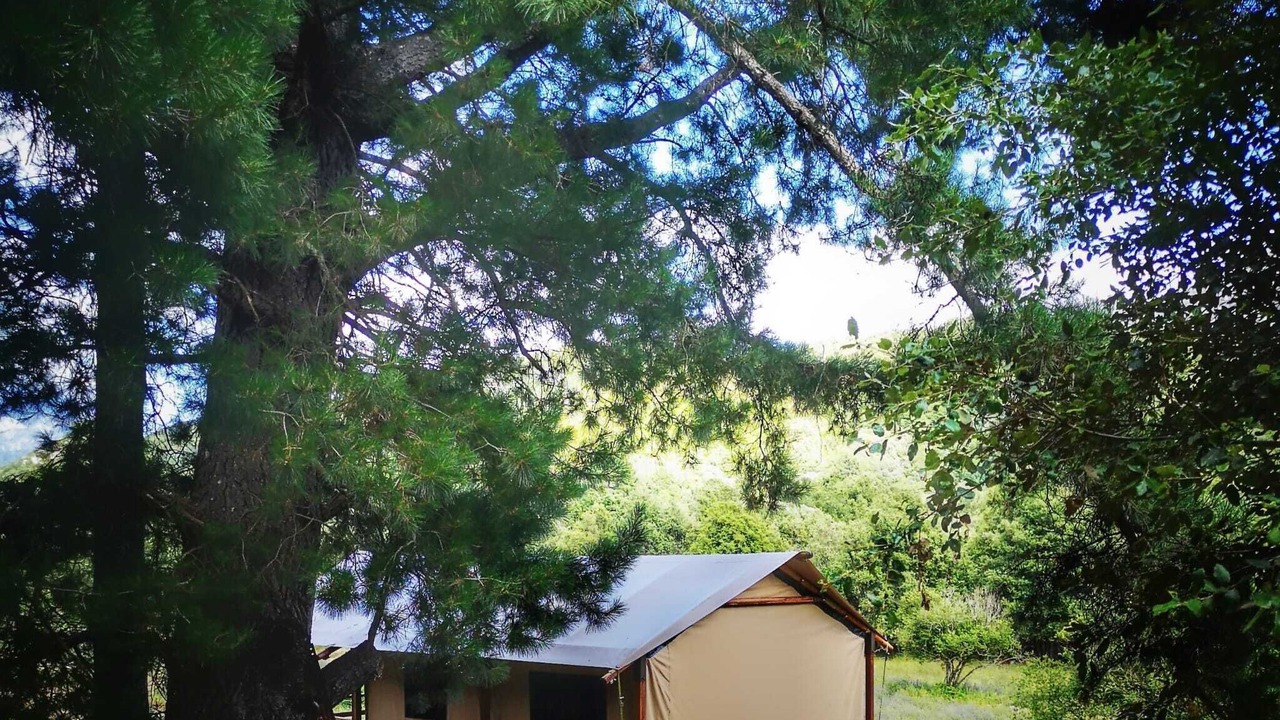 Photo of Outdoor in Ucciani