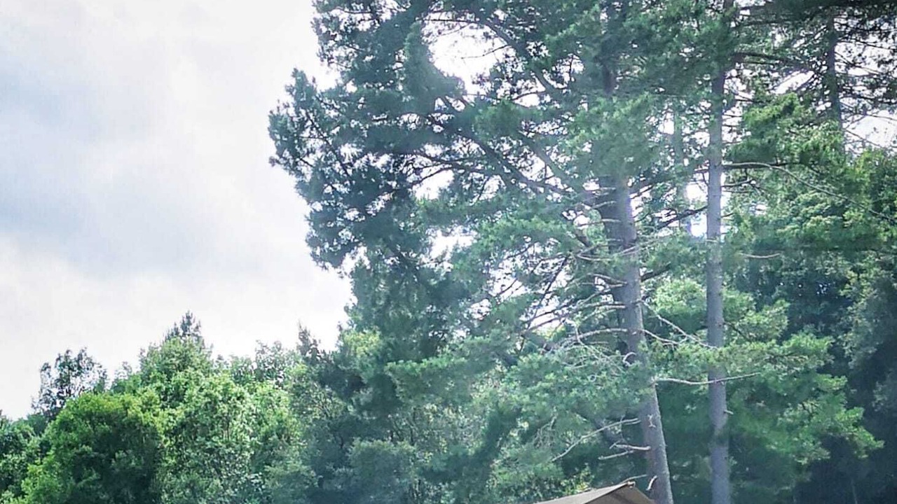 Photo of Outdoor in Ucciani