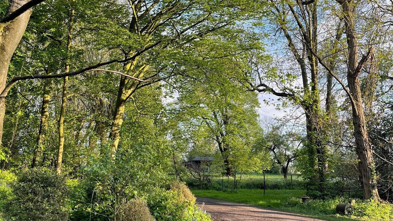 Photo of Outdoor in Halluin