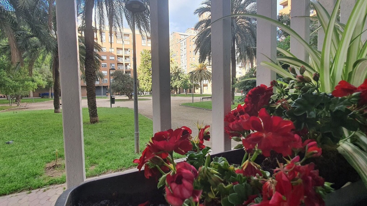 Photo of Outdoor in Ciutat de les Arts i les Ciencies