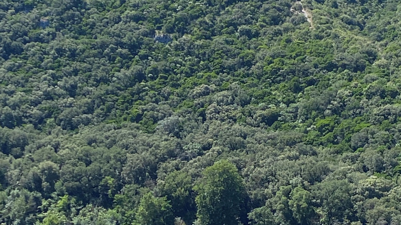 Photo of Outdoor in Sagries