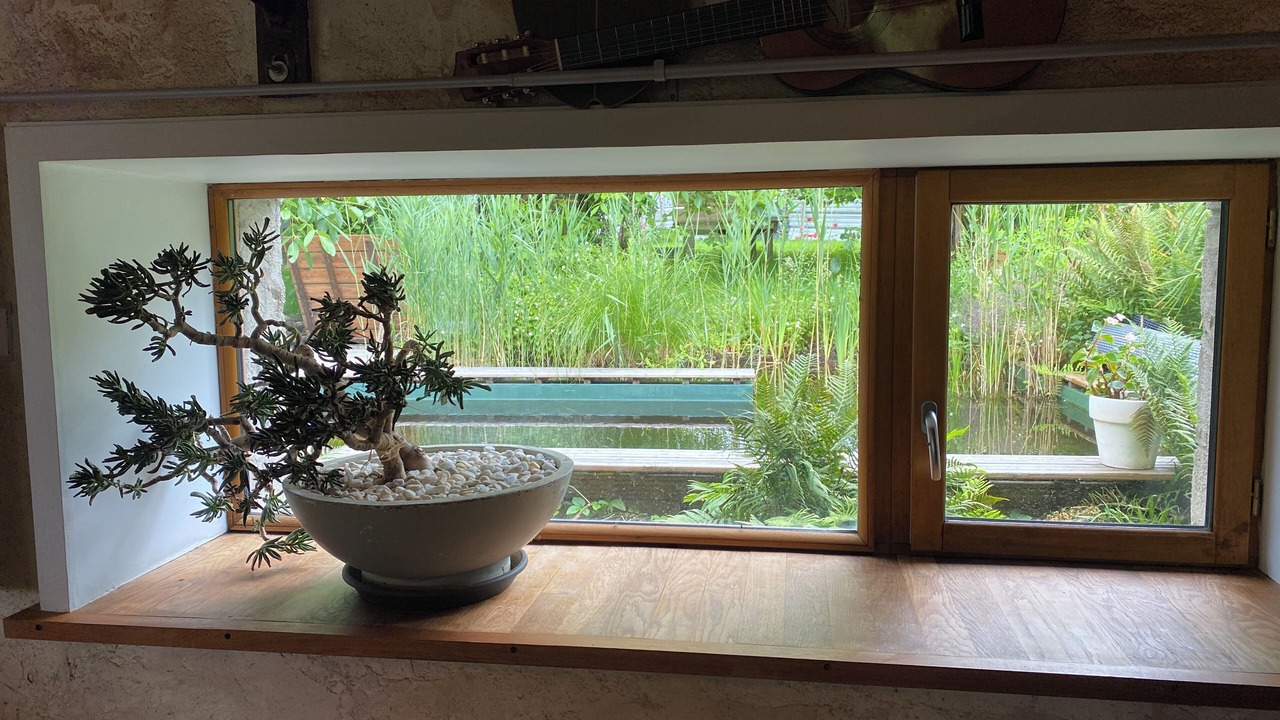 Photo of Others in Saint-Dolay