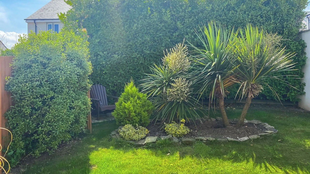 Photo of Others in Perranporth