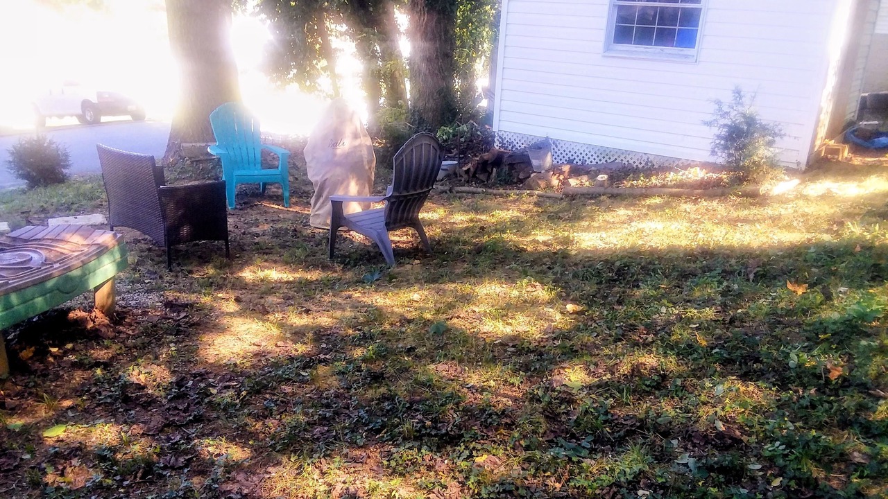 Photo of Outdoor in Calvert Beach-Long Beach