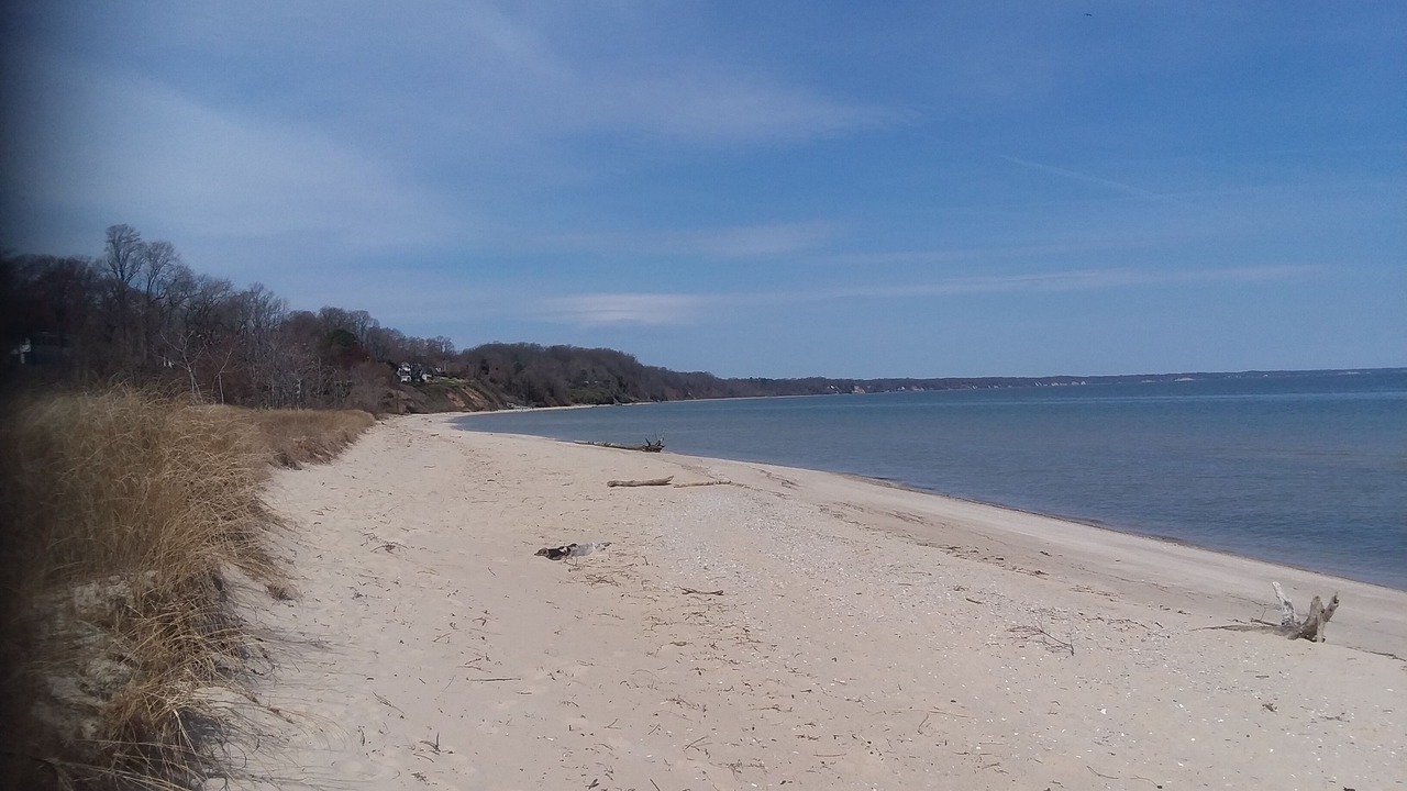 Photo of Others in Calvert Beach-Long Beach