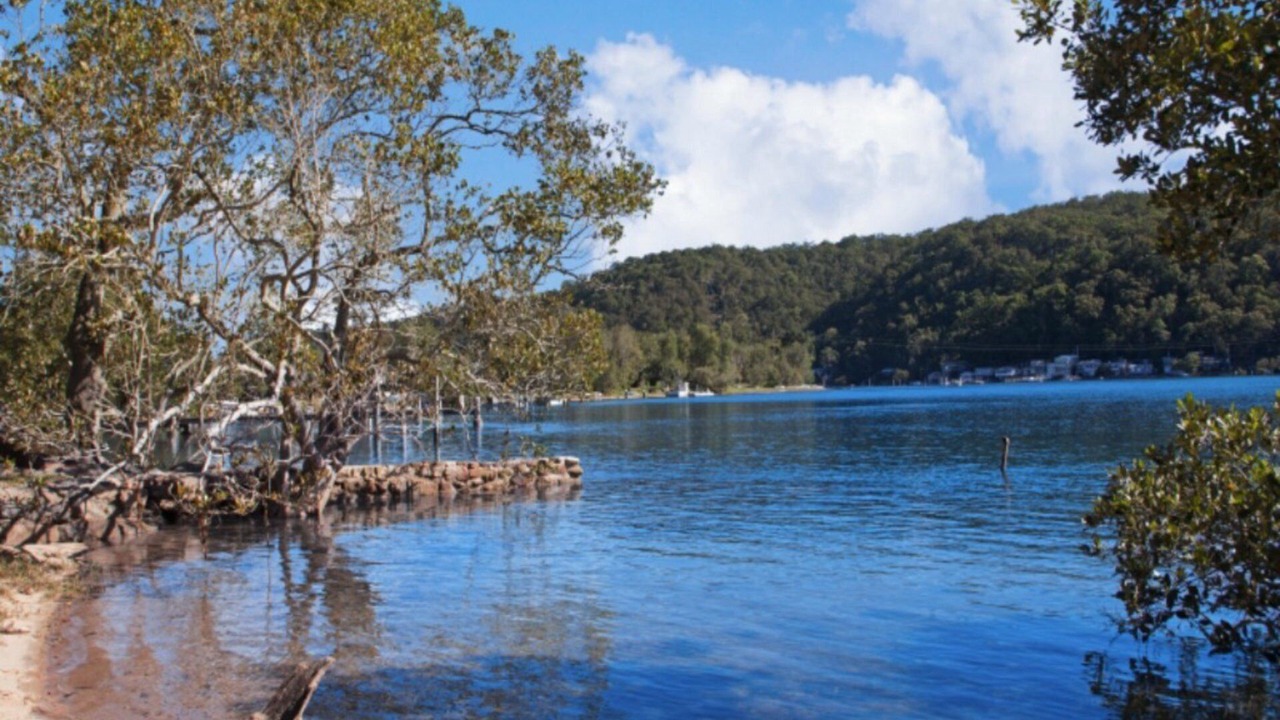 Photo of Others in Patonga