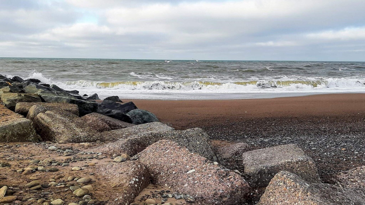 Photo of Others in Harboore