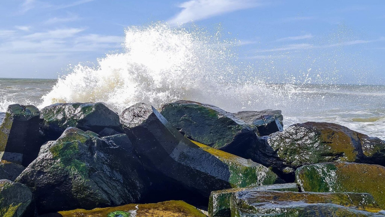 Photo of Others in Harboore