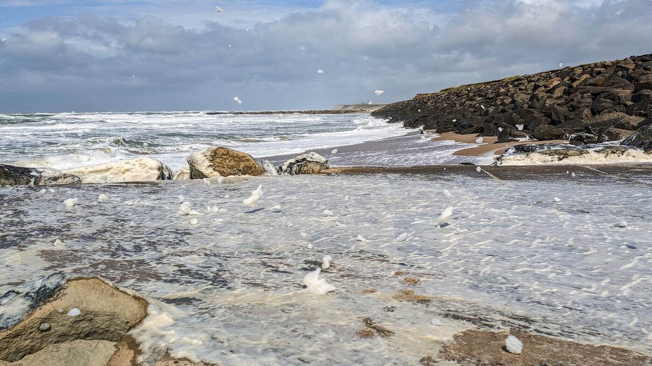 Photo of Others in Harboore