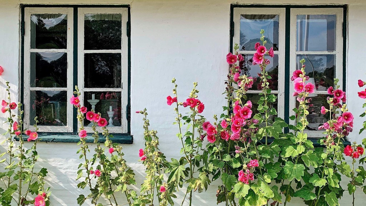 Photo of Outdoor in Kettingskov