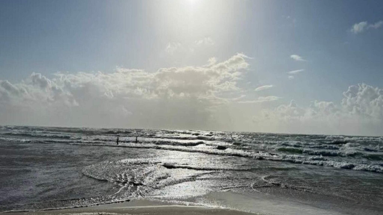 Photo of Outdoor in Blokhus