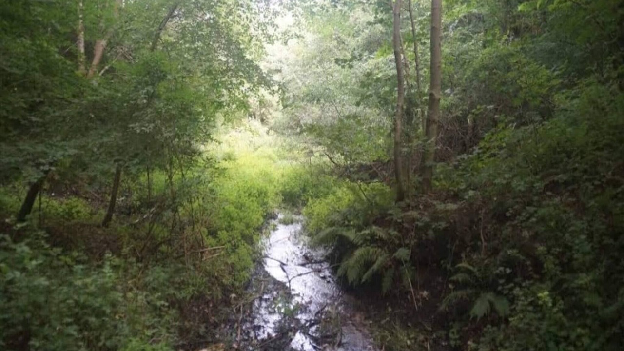 Photo of Outdoor in Brovst