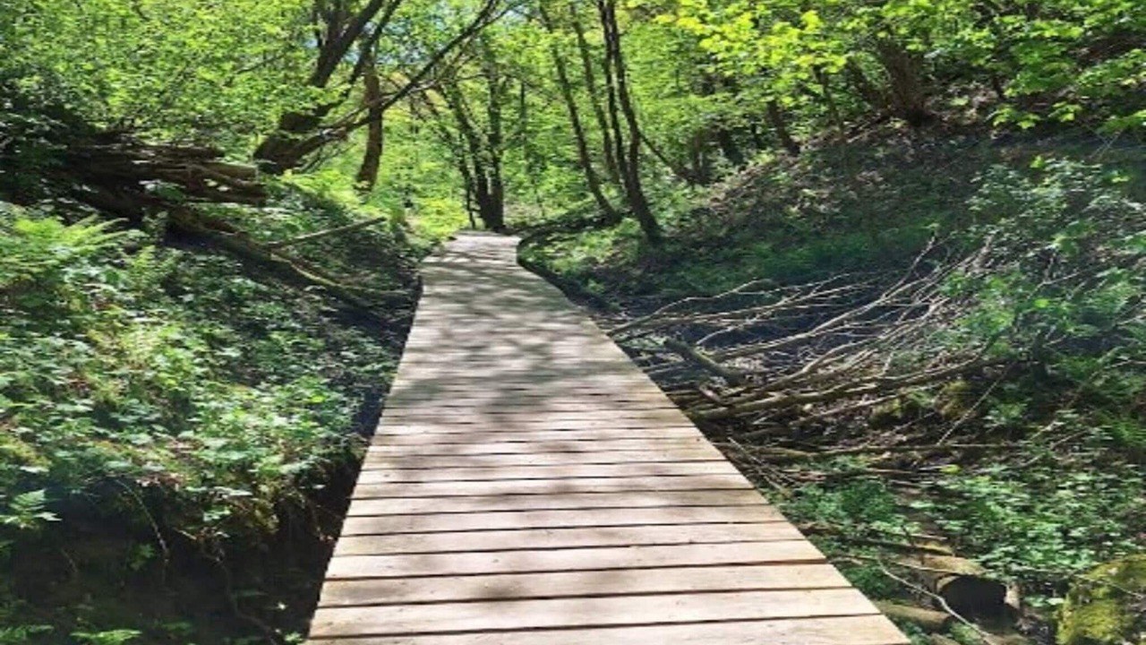 Photo of Outdoor in Brovst
