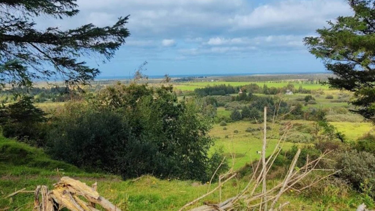 Photo of Outdoor in Brovst