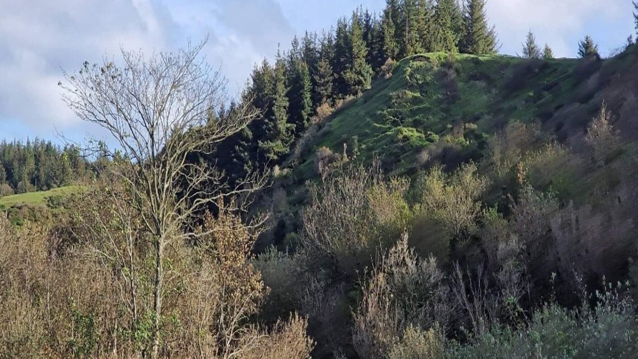 Photo of Outdoor in Brovst