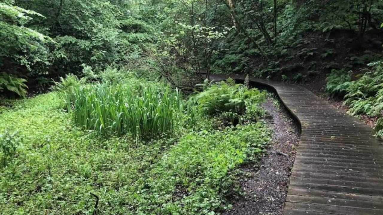 Photo of Outdoor in Brovst