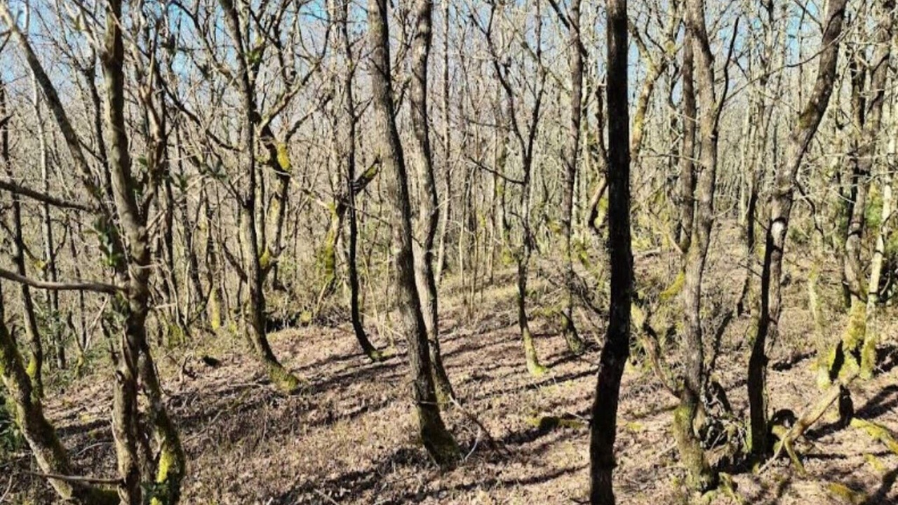 Photo of Outdoor in Brovst