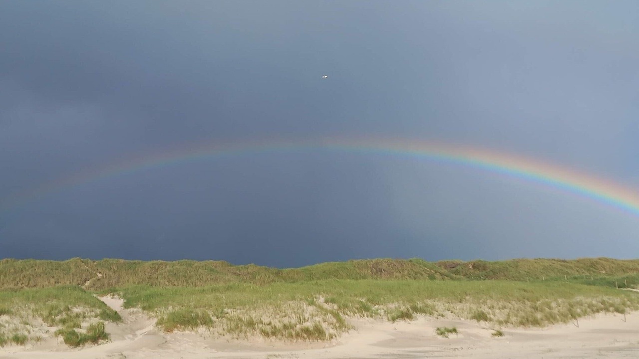 Photo of Others in Bjerregaard