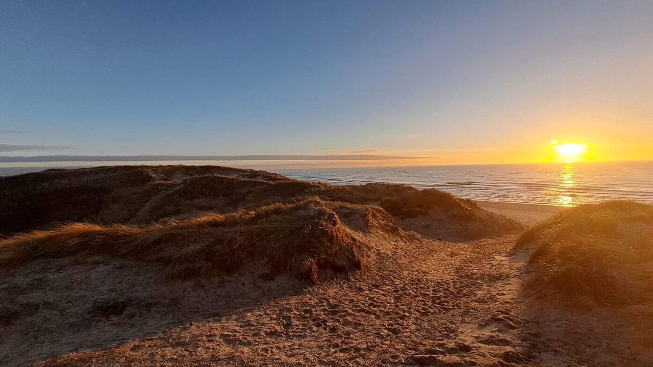 Photo of Others in Bjerregaard