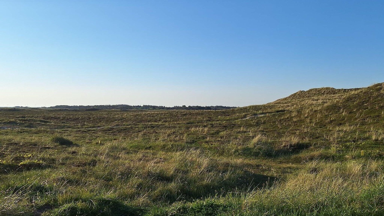 Photo of Others in Bjerregaard