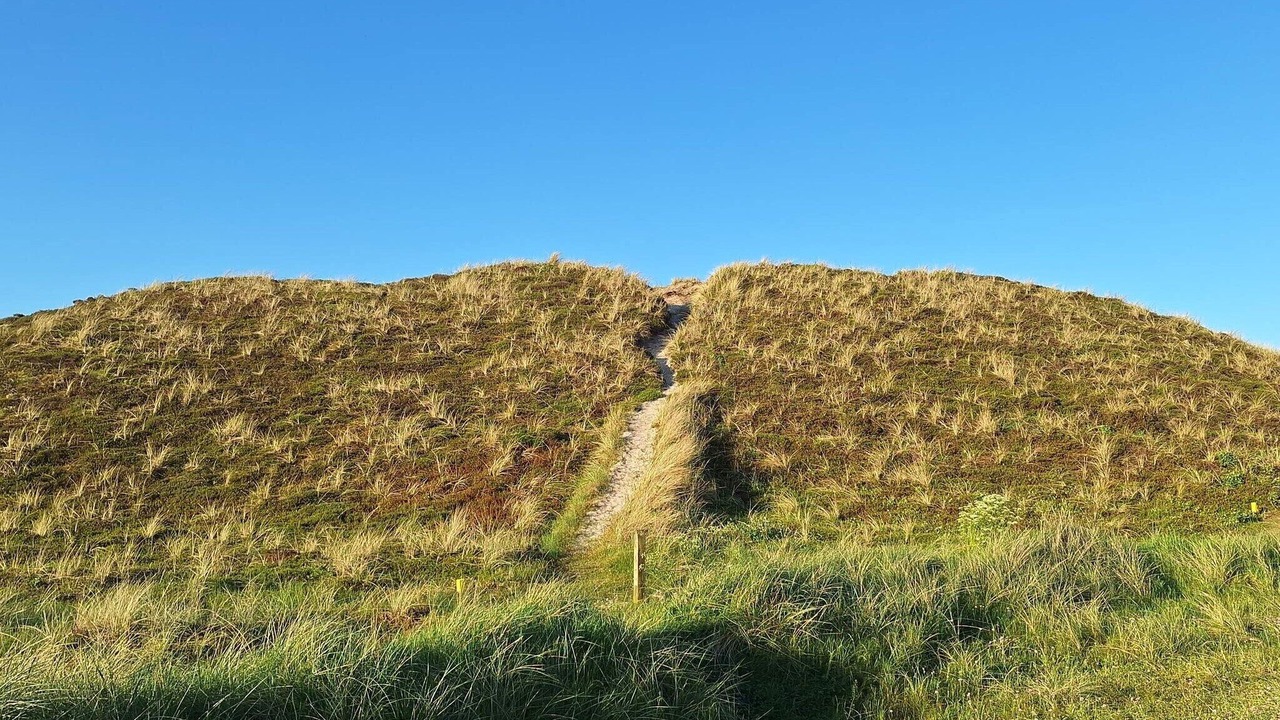 Photo of Others in Bjerregaard