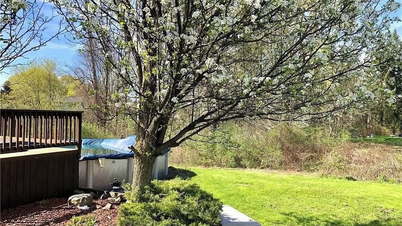 Photo of Outdoor in Cicero