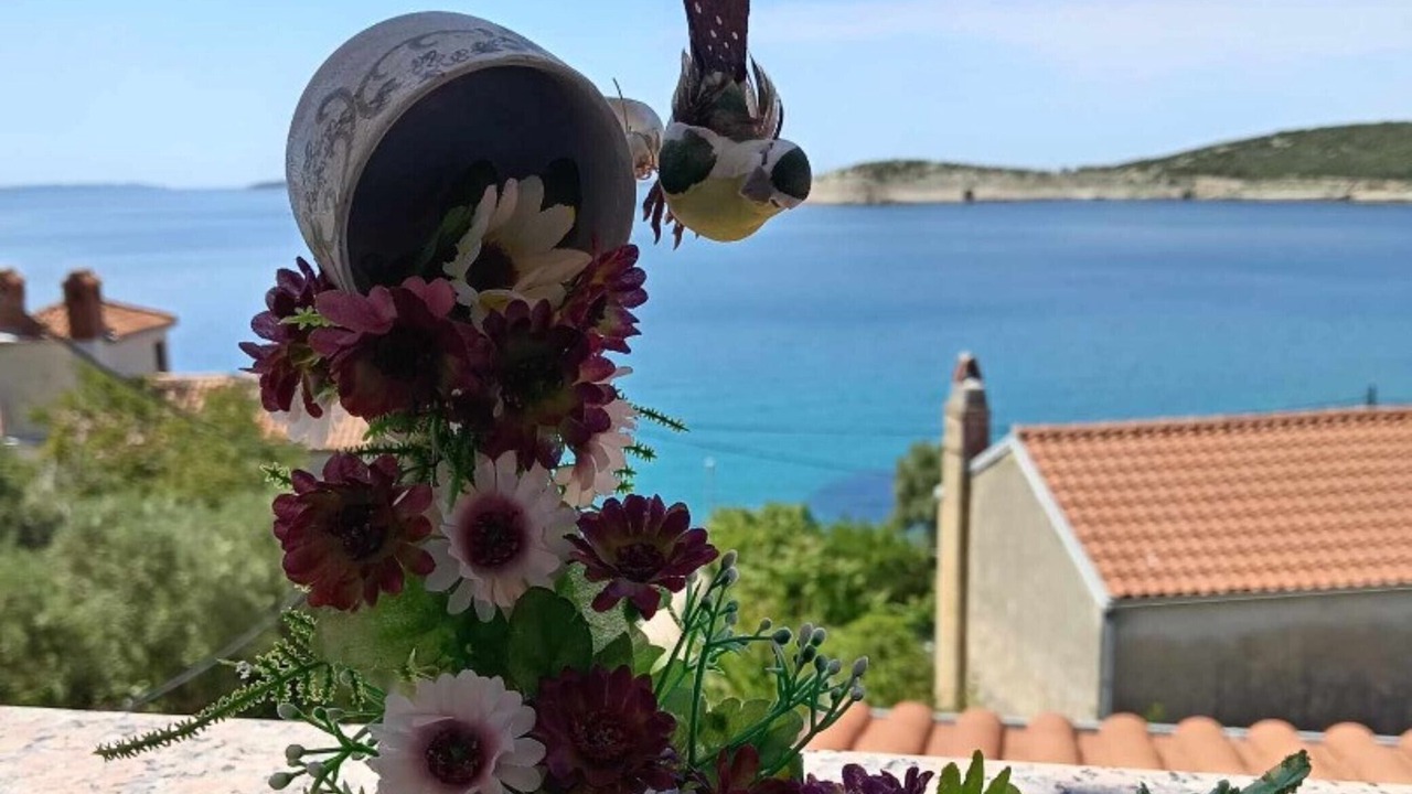 Photo of Outdoor in Martinscica