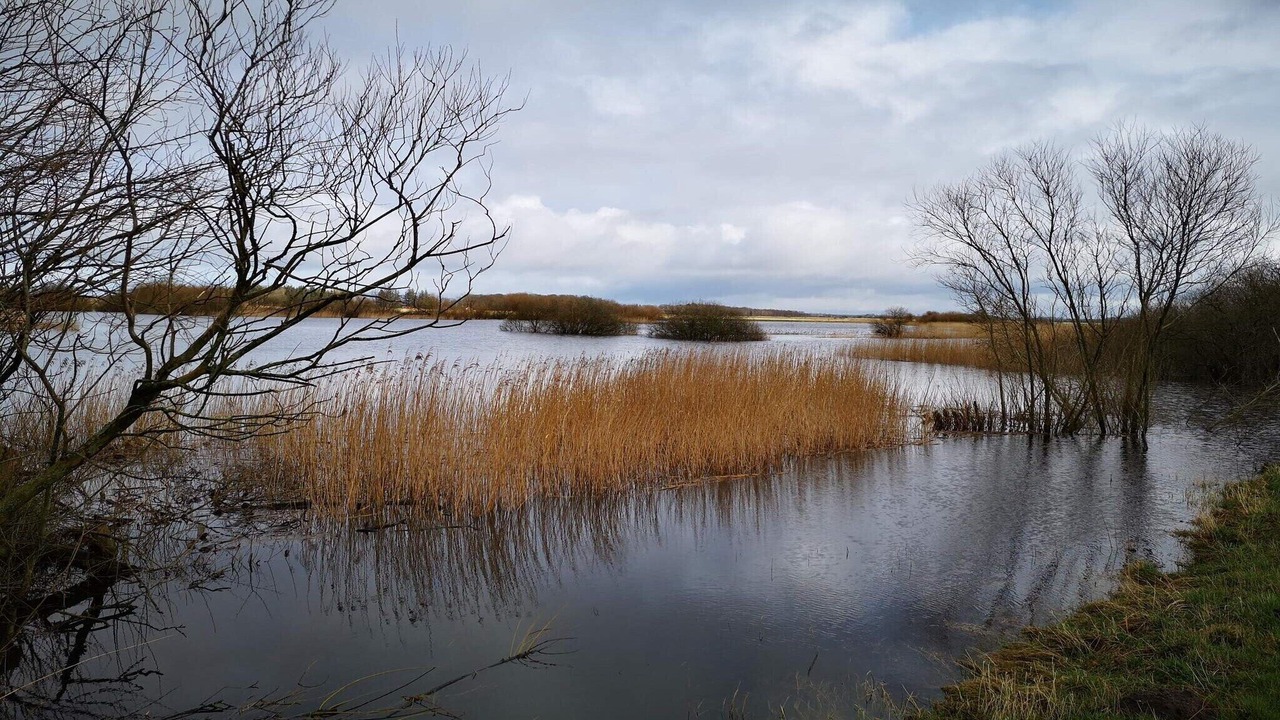 Photo of Others in Rudbøl