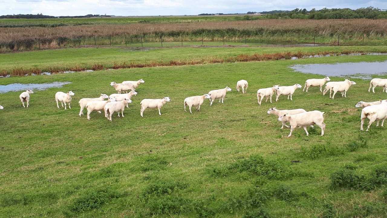 Photo of Others in Rudbøl