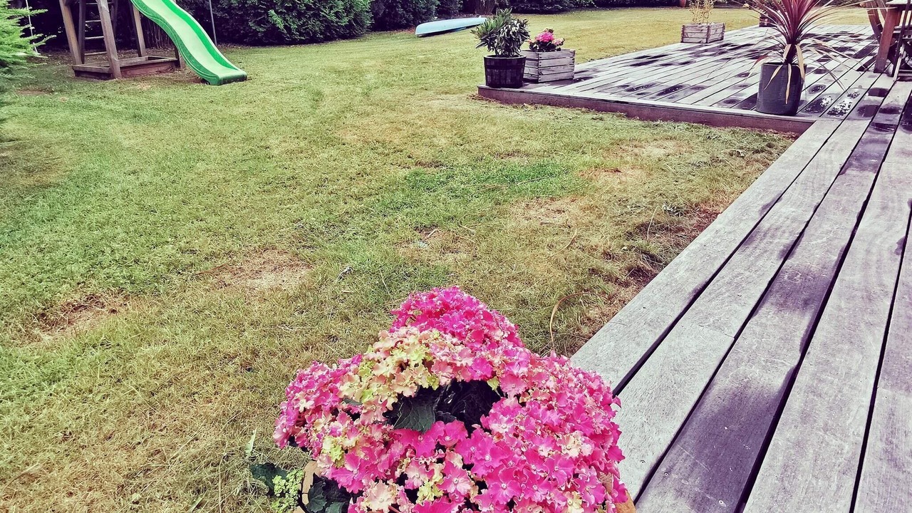 Photo of Others in Hornbaek